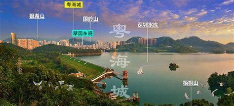 公寓用来申请学位？深圳已有四个区可以。（附各区公寓入学积分材料攻略）_商务