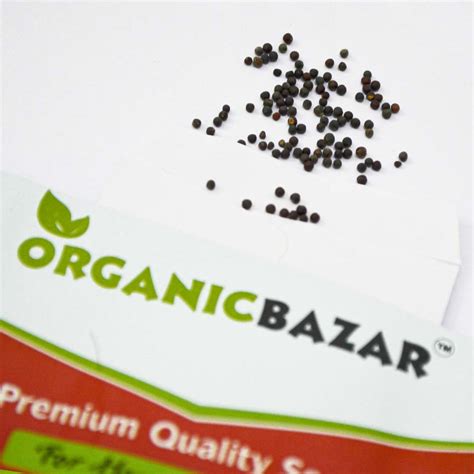 Buy Best Quality Tatsoi Green Seeds for home gardening - organicbazar