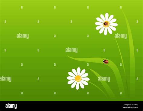 Image result for Microsoft Ladybug Background