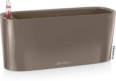 7 Best Self-Watering Planters for Indoors and Outdoors