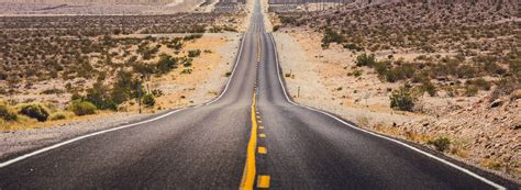 Nest Programming Tutorial 的图像结果