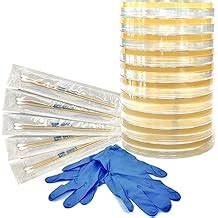 Explore Science Kits Toys Online on Ubuy India - Low Prices