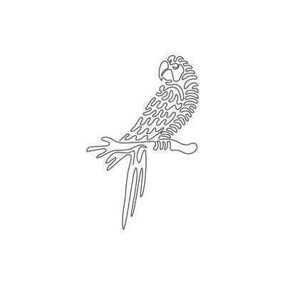 Image result for Parrot Line Drawing