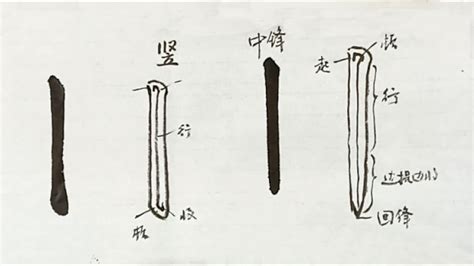 毛笔书法入门，楷书基本笔画，竖画：悬针竖与垂露竖 | 書法 | Chinese calligraphy | 해서체 | 楷書 | 서예 | 書道