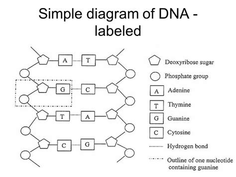 Labels KeyShot 的图像结果