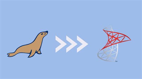 Join Queiries SQL MariaDB 的图像结果