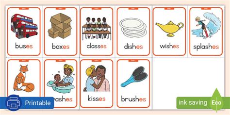 Grade 1 Phonics: Adding -es Flashcards