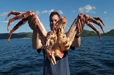 百万只巨型帝王蟹“入侵”南极 或带来生态浩劫-搜狐新闻