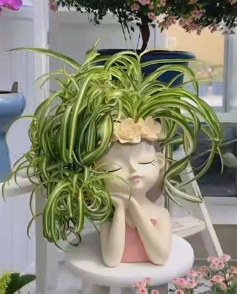 King Resin Succulent Pot | Buy Pots & Plants Online India — Plant N Pots