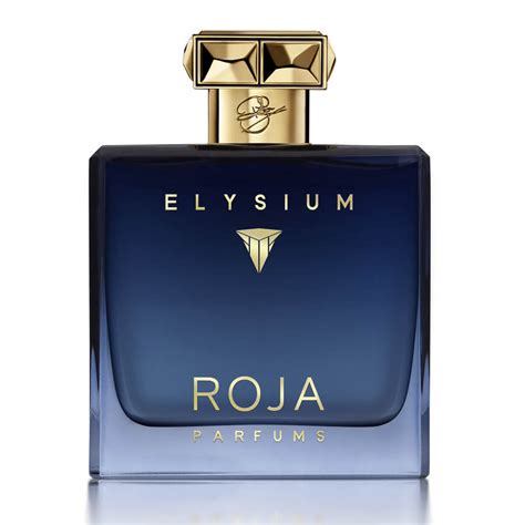 Roja Parfums Elysium Cologne Eau De Perfume For Men 100ml – FridayCharm.com