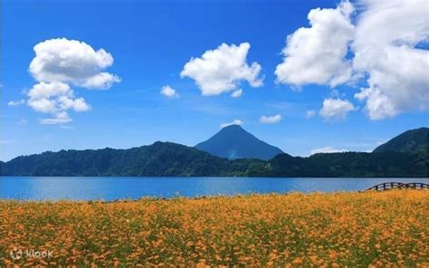 [Kagoshima Ibusuki Day Trip] Check in at the most difficult JR Station ...