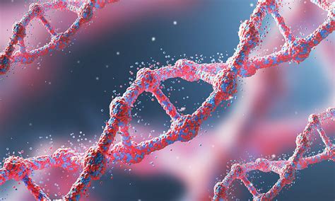 nCounter Analysis System | Products | Bioinnovations