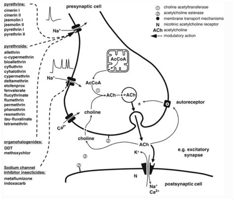 Image result for Pyrethrin Case