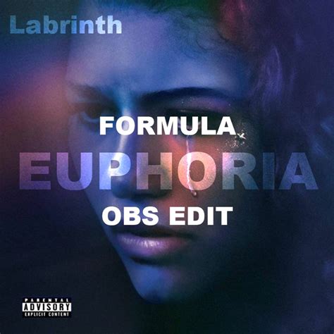 Image result for Formula Labrinth