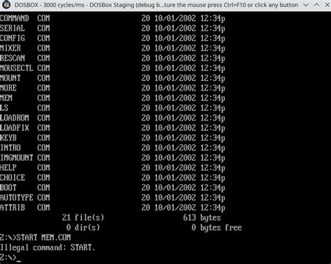 DOSBox Command 的图像结果