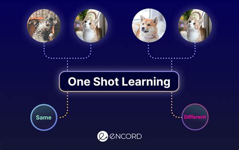 Image result for Python One Shot Tutorial