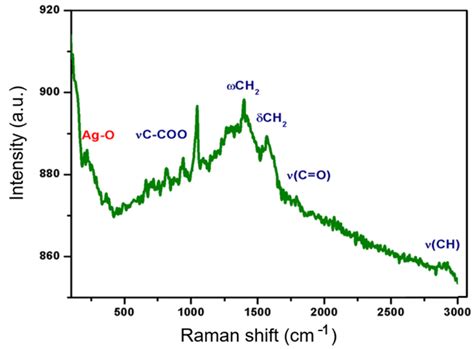 Preliminary Biocompatibility Tests of Poly-ε-Caprolactone/Silver ...