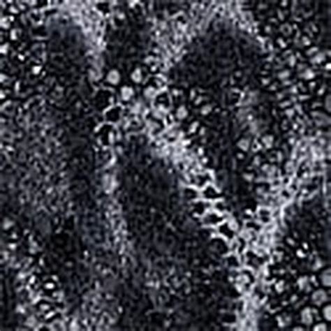 Buy So Obsessed Smooth Wireless Push-Up Bra Online - Style ID ...