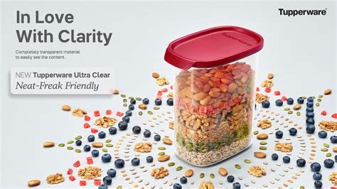 Ultra Clear Oval 2.2L Set of 4 | Large Transparent Containers ...