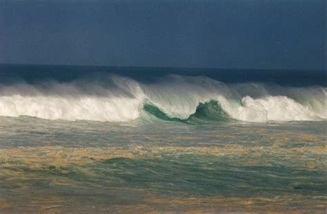 January 28, 1998 North Shore Wave