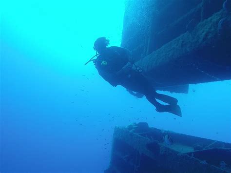 PISSOURI BAY DIVERS (2025) All You Need to Know BEFORE You Go (with ...