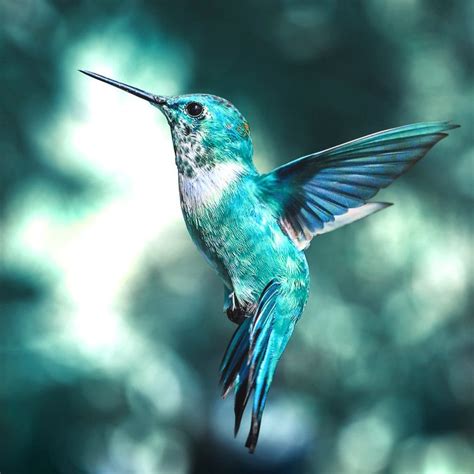 Coaching para Equipos, Líderes y Profesionales en Salud, Ciencia ...