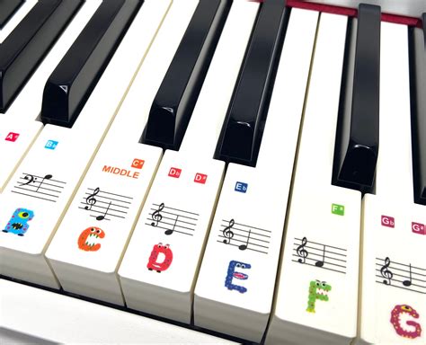 Image result for 36 Key Keyboard Notes