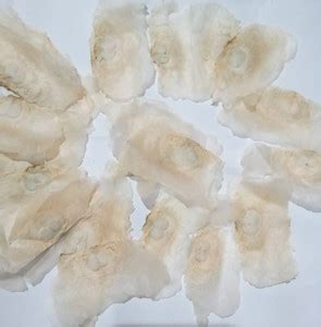 Pioneer Natural Oroxylum indicum, Shyonaka Seed Price in India - Buy ...