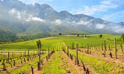 Tulbagh Holiday Rentals with a Pool - Western Cape, South Africa | Airbnb