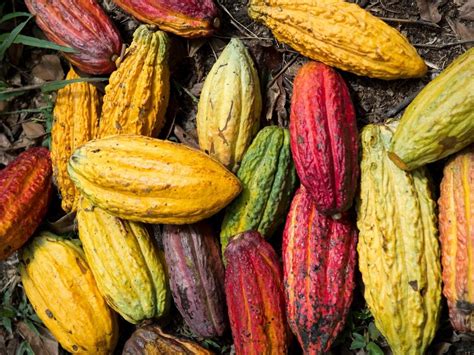 Kennemer Foods | Our Products