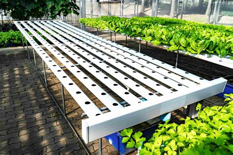 Build a NFT Hydroponic System Using 50Mm PVC 的图像结果