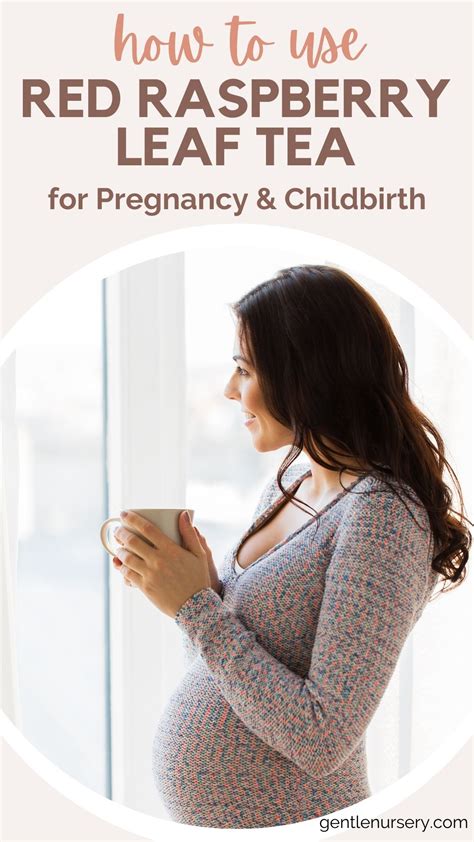 Red Raspberry Leaf Tea for Pregnancy: Benefits and Usage