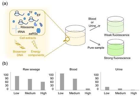 Advances, Challenges and Future Trends of Cell-Free Transcription ...