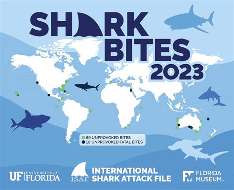 International Shark Attack File: 2023 - Epic Diving