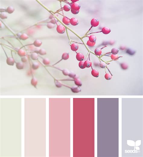 Nature Paper Color Set 的图像结果