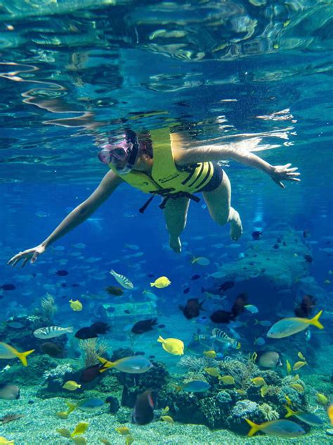 A Perfect Vacation at Resorts World Sentosa Singapore | Femina.in