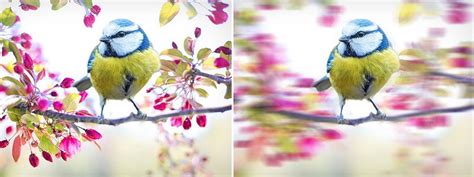 How to Enhance Photo Using Photoshop — Teletype