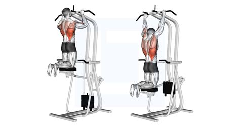Image result for Best Assisted Pull Up Machine