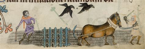 Image result for Using a Medieval Harrow