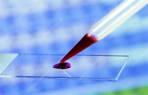 Image result for Microscope Slide View