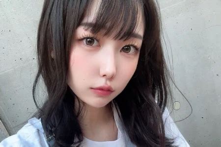 Image result for PIP Program