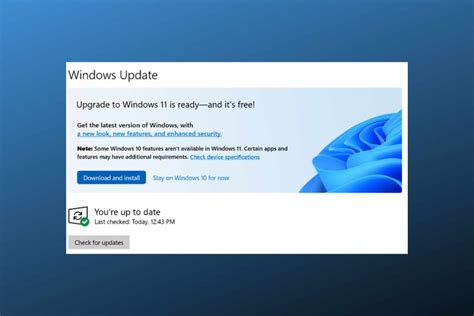 Image result for Windows 11 Privacy Camera