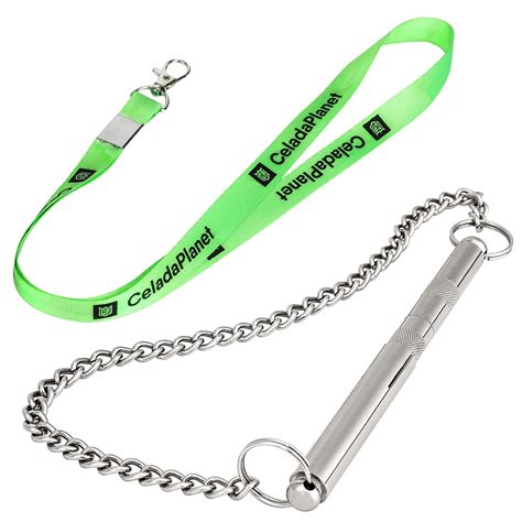 What Is Dog-Whistle In Spanish at Terry Chaney blog