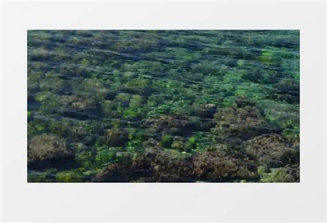清澈见底的水面和水底景象实拍视频素材下载_mp4格式_熊猫办公