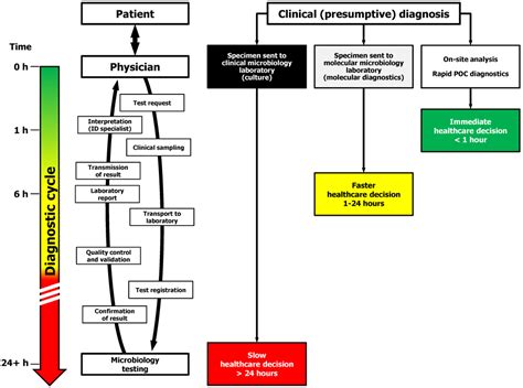 Infectious Disease Management through Point-of-Care Personalized ...