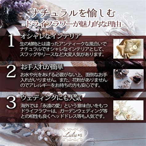 khannapublishers.in - Lulu's ルルズ ドライフラワースワッグ ひまわり スワッグリース サイズ:直径約40 ...