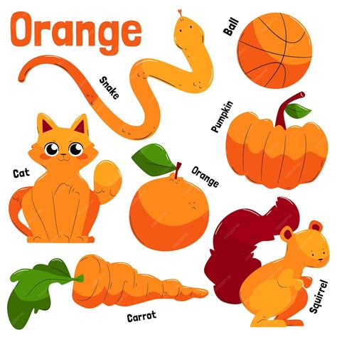 Free Vector | Collection of orange objects and vocabulary words in english