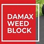 Image result for Weed Block