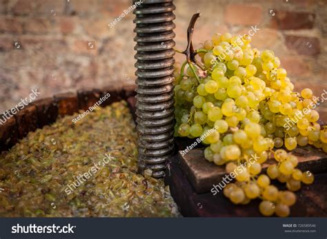 Must: Over 90,169 Royalty-Free Licensable Stock Photos | Shutterstock