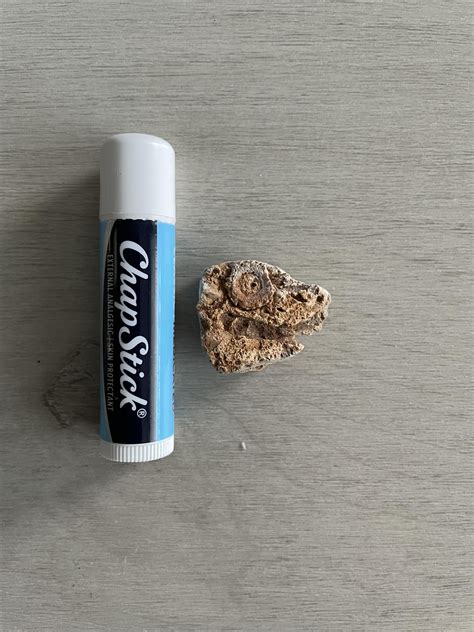 I found this beach combing in Washington state : r/Damnthatsinteresting